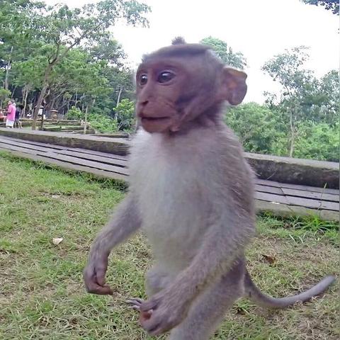 悲剧爱情电影的长尾关键词有什么