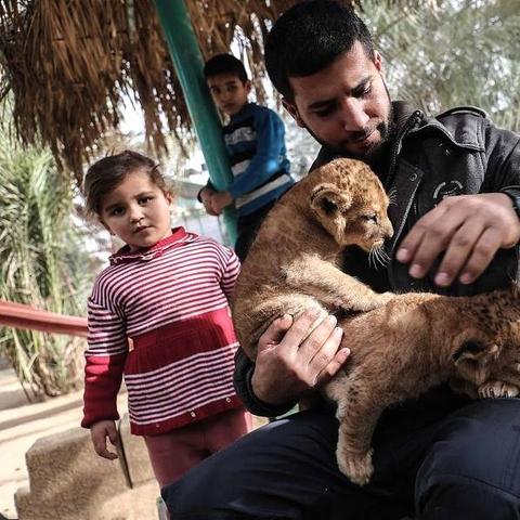 温州市哪里可以买猫狗的