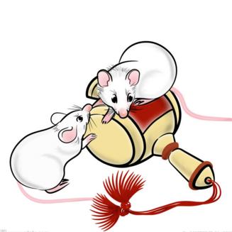 今年财运生肖鼠运势如何(今年财运生肖鼠运势如何呢)