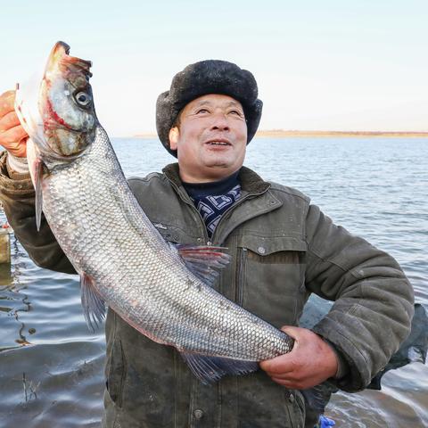天津和南京定居哪个好点