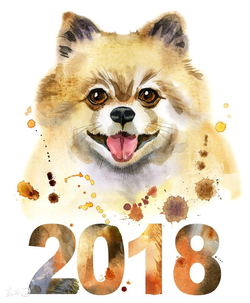 狗宝宝起名要有什么（妈妈叫旺财狗宝宝叫什么）