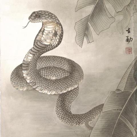 桃花运好坏？看八字这几处就知道