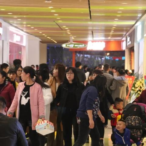 哈尔滨泰禾地产相关长尾关键词有哪些