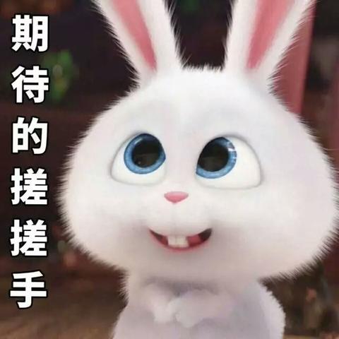 如何逗兔子开心？