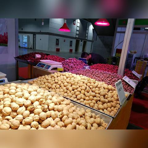 大连市和连云港市哪个大