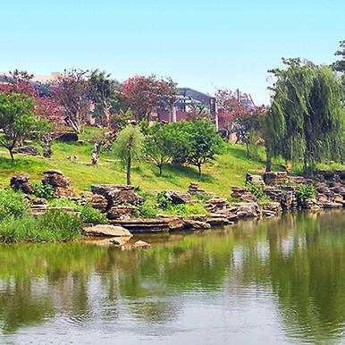 东莞市带孩子哪里好玩