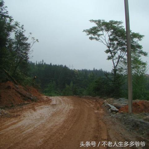 桂林枫木根在哪里批发相关长尾关键词有哪些