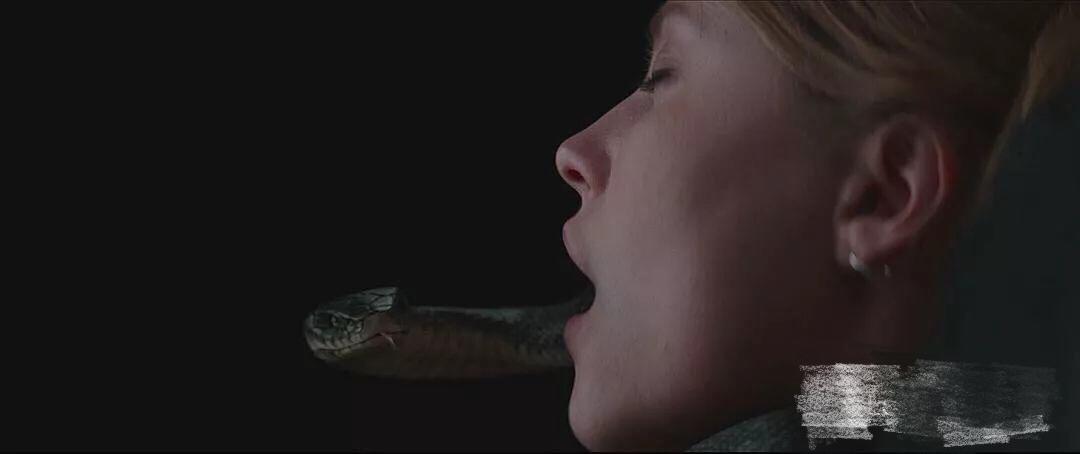 梦境解析,两条蛇从身上正面两边爬上来 梦境解析,两条蛇从身上正面两边爬上来