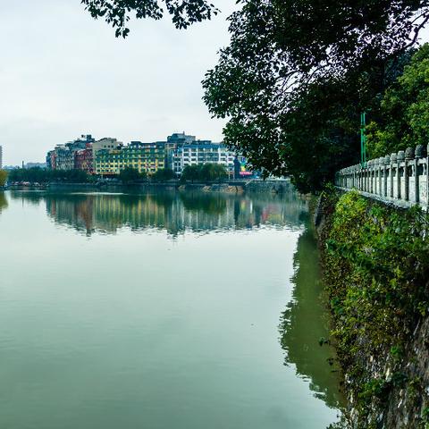 桂林市哪个镇人口多些呢