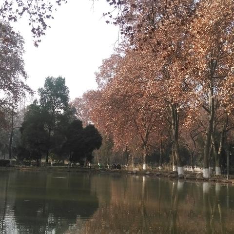 去武汉市有什么风景区