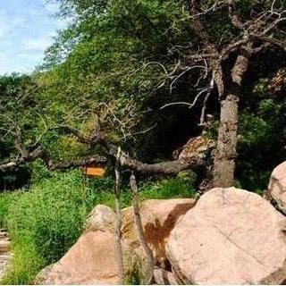 石家庄市幽居寺的长尾关键词有哪些