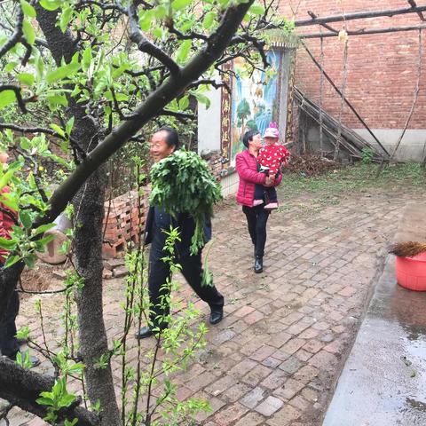 河南想念面条的相关长尾关键词有哪些