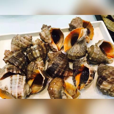 甜点哈尔滨市哪里有卖