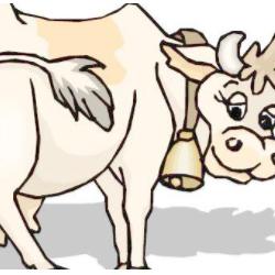 生肖鼠今年运势女(生肖鼠女今年运势如何)