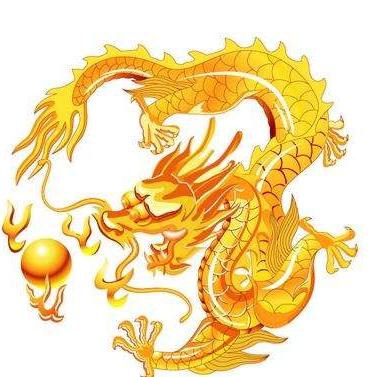 不同月份生肖兔的运势(生肖兔每月运势大全)