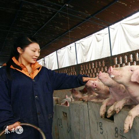 长沙市区内有哪个区县市