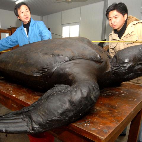 宁波市水产养殖什么最好