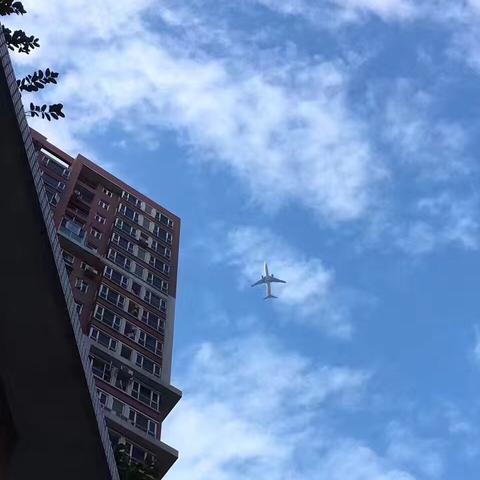 白云区到佛山市多远啊怎么走