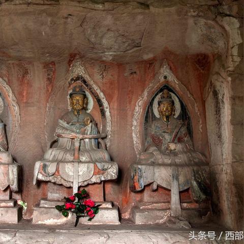 甘谷蛇的种类？