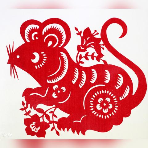 十二生肖鼠运势大解析(生肖鼠运势解秘)