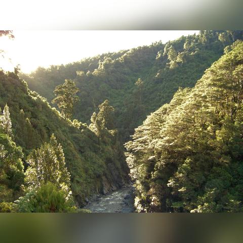 石家庄市精灵之家地址的长尾关键词有什么