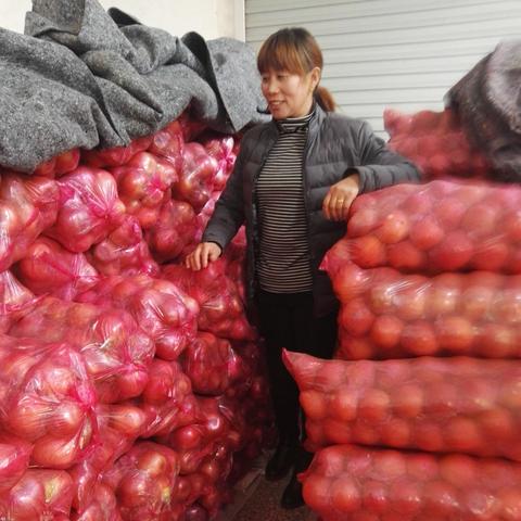 只有河南生意怎么样