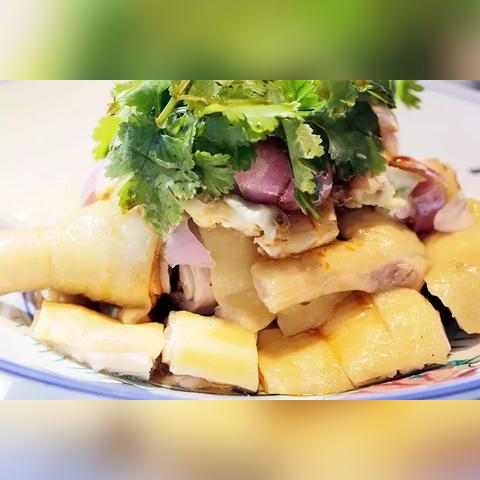 深圳市与湛江面积哪个大