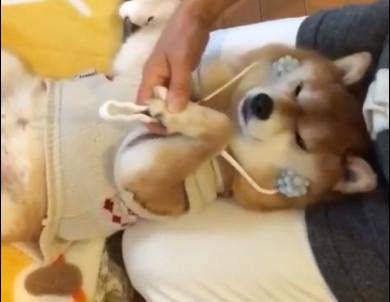 死人了怎么办？梦到了各种死人，究竟是怎么回事？