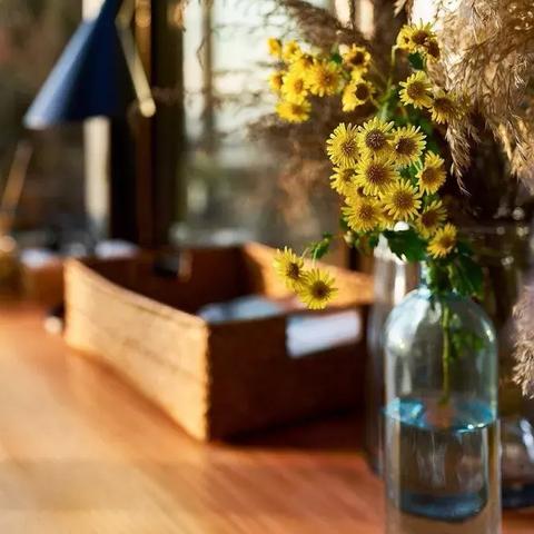 温州市SpA有服务吗的长尾关键词有什么