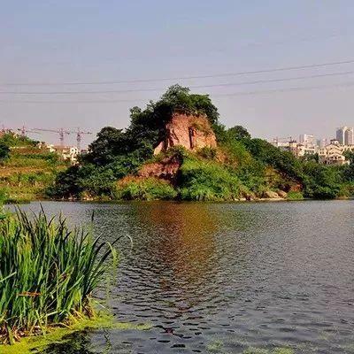 温州市大龙山事故的长尾关键词有哪些