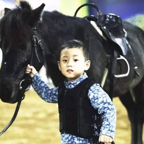 沈阳学马场相关长尾关键词有哪些