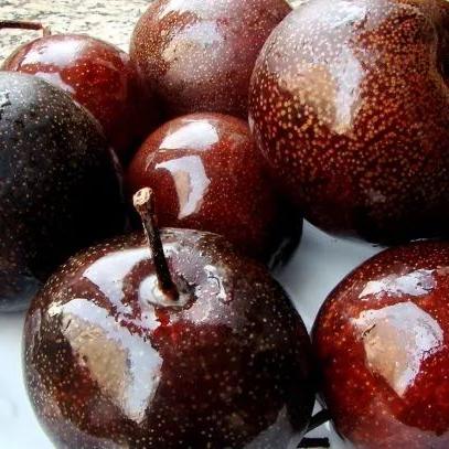 哈尔滨冷冻食品批发相关长尾关键词有哪些