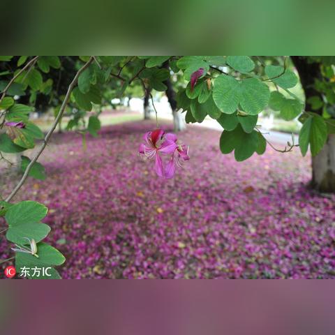 中国北方为什么降雨少