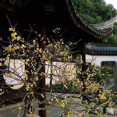 上海电脑屏幕定制有哪些