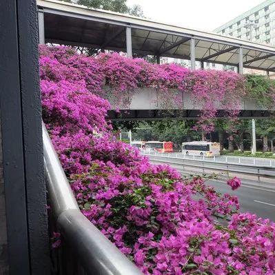 广州市有什么优点