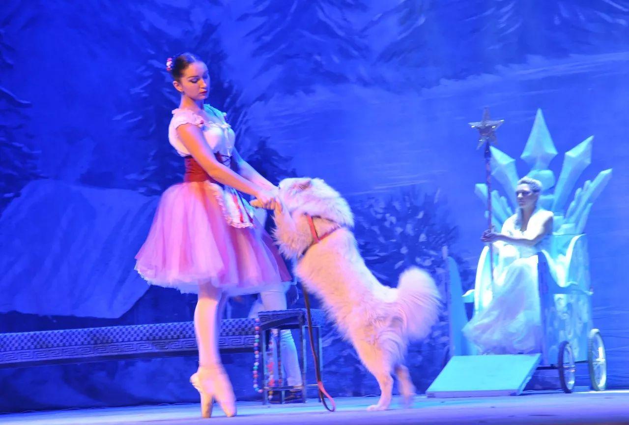 梦回童真，小猪抱衣的温馨梦境解析