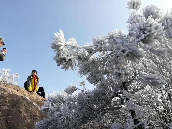 生日梦境奇缘，梦到蛇的寓意与解析