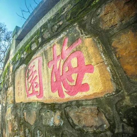 无锡市小桃园中学怎么样