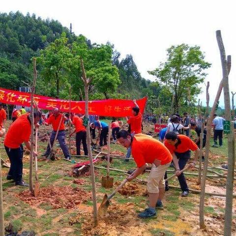 深圳市坪山新区有什么好玩的