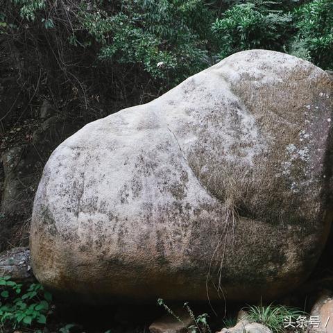 泉州市生态山庄房价多少