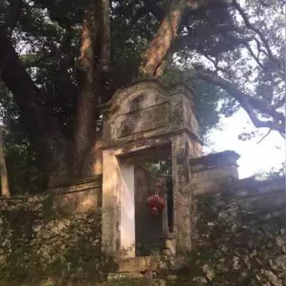 温州市陈姓多少的长尾关键词有什么