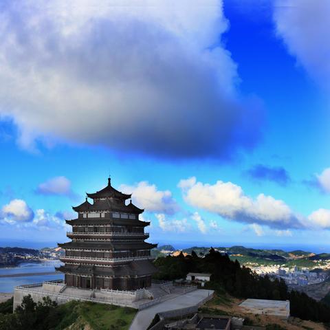 温州市宠物猫店在哪里啊