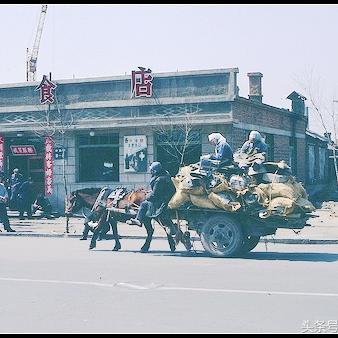 沈阳市哪个地方小