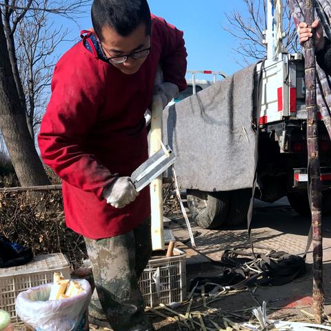 潍坊市甘蔗批发电话是多少