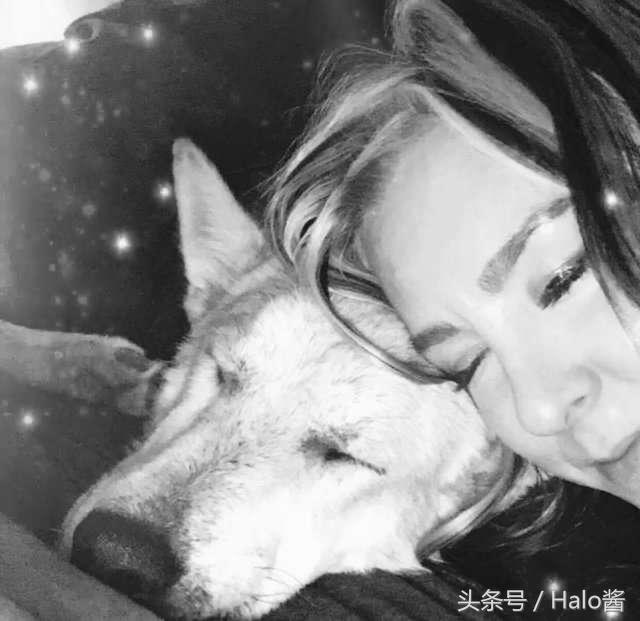 梦见小狗掉牙，梦境背后的深层含义与心理解析