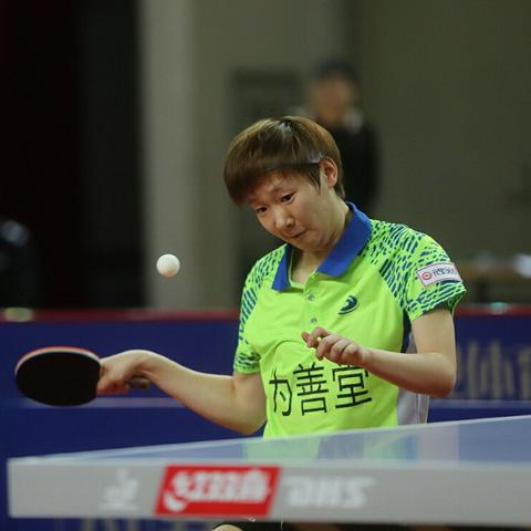 领胜电子科技（深圳）有限公司怎么样？