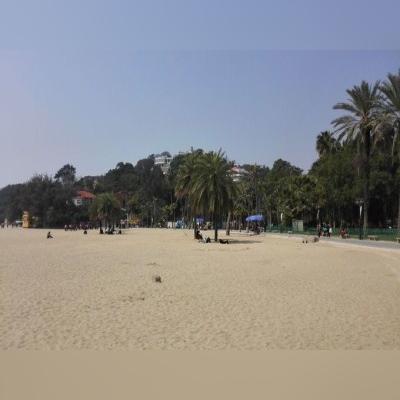 厦门冬天的温度大概是多少度？