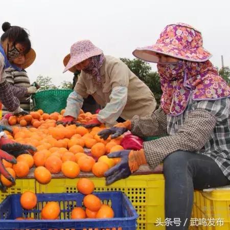 南宁市武鸣发展怎么样了