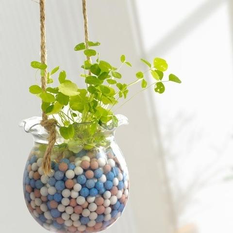 无锡市哪里能买氧气