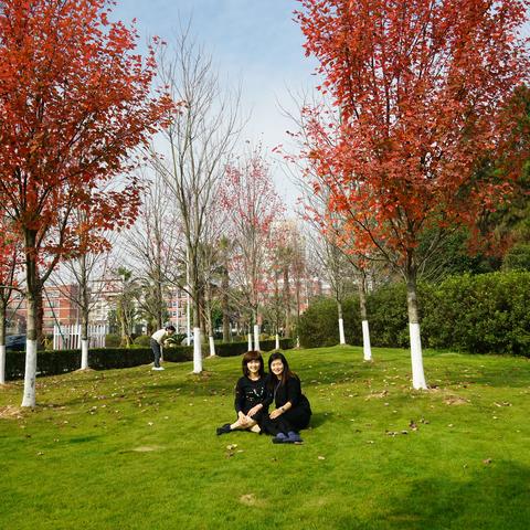 浙江省温州市阳光小学的长尾关键词有哪些